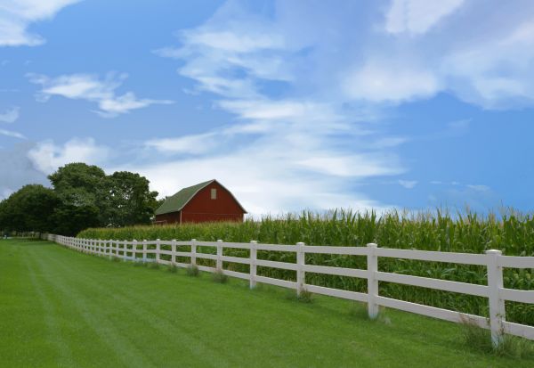Farm Fence Repair in Joplin