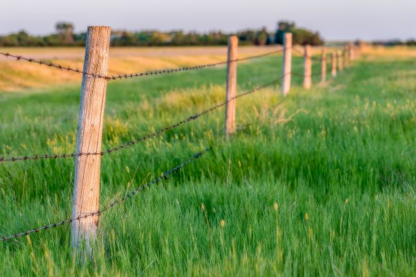 Field Fence Installation in Joplin