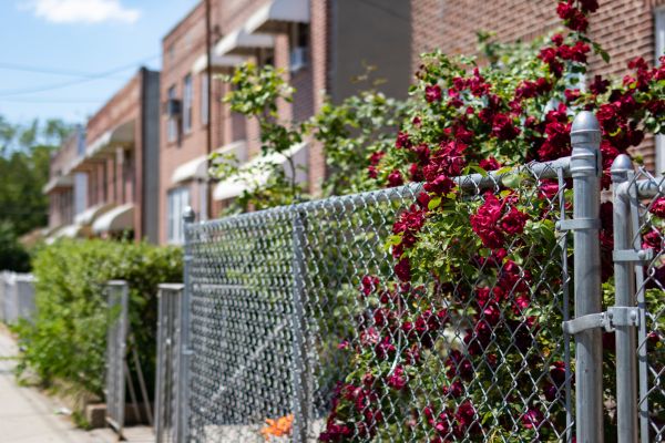 Chain Link Fence Replacement in Joplin