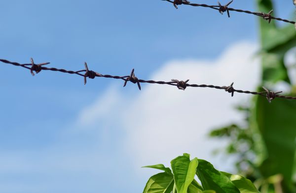 Garden Fencing Service in Joplin