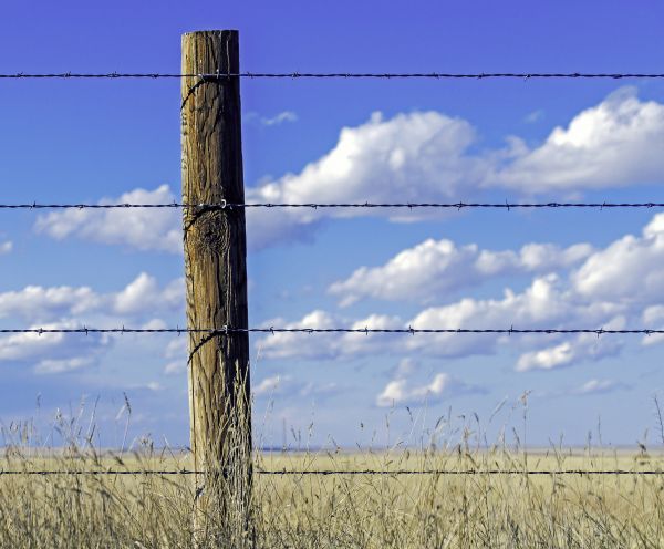 Wire Fence Installation in Joplin