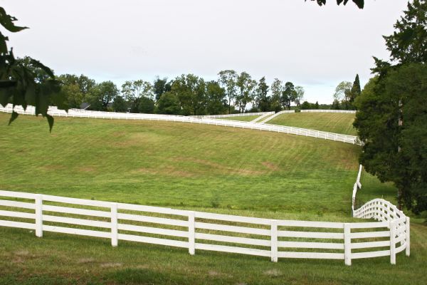 Livestock Fence Repair in Joplin
