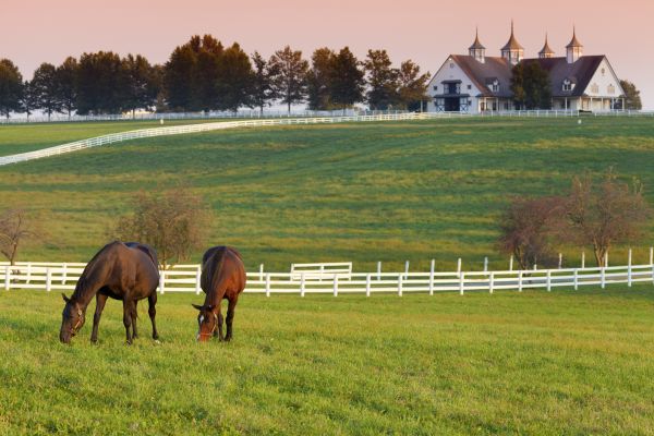 Horse Paddock Installation in Joplin