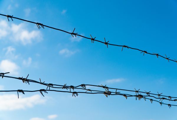 Wire Fencing Service in Joplin