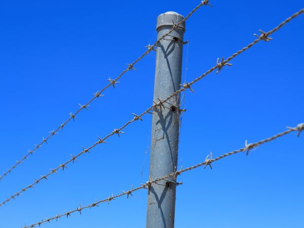 Wire Fence Replacement in Joplin