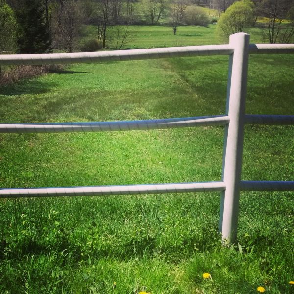 Cattle Fence Replacement in Joplin