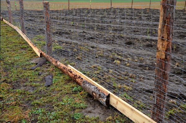 Deer Fencing Repair in Joplin