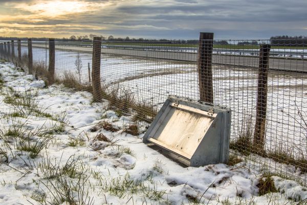 Wildlife Fence Repair in Joplin